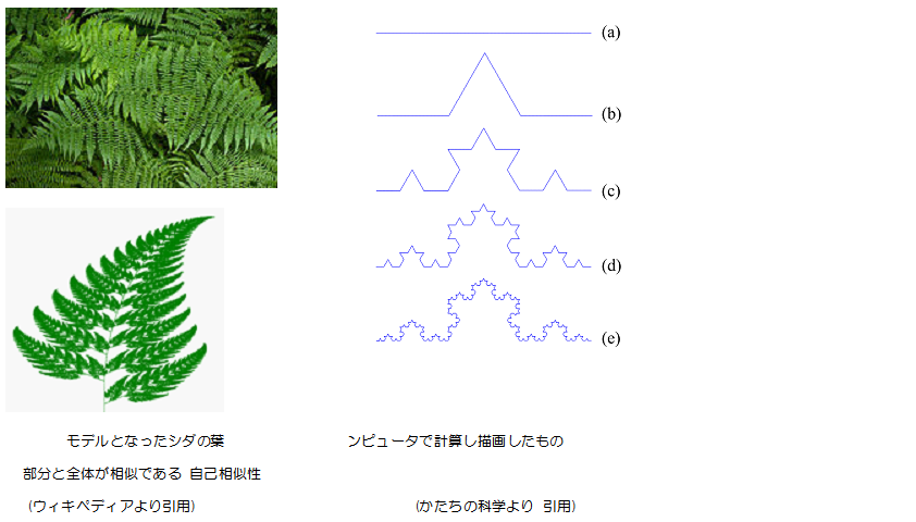 OutlineShape5